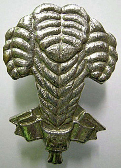 1 SAI Beret BAdge One Bolt Only