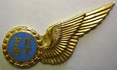 S.A.A.F. Flight Engineer Halfwing Mess Dress Enamelled Pins Intact
