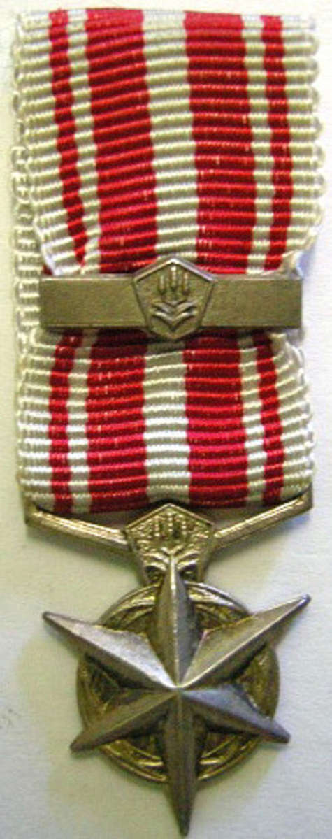 Miniature SA Police Medal for Combating Terrorism With Bar