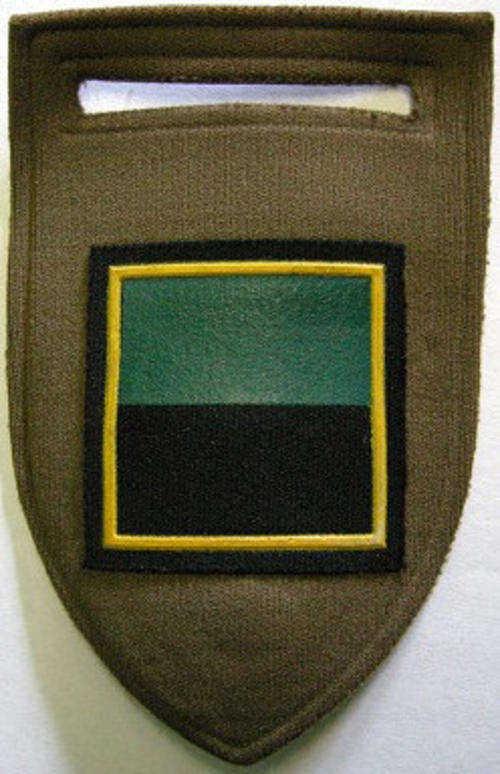 Infantry B COY Rubberised Flash Pin Intact