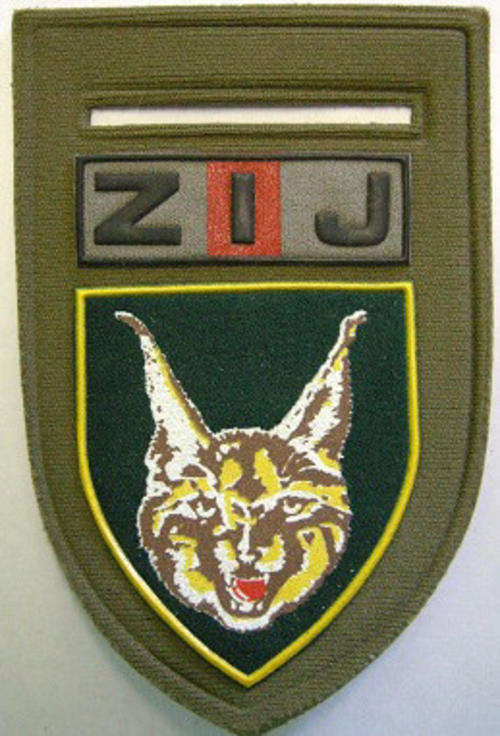 SWA Police Koevoet Z1J Rubberised Shoulder Flash Pin Intact Dinnes 5886