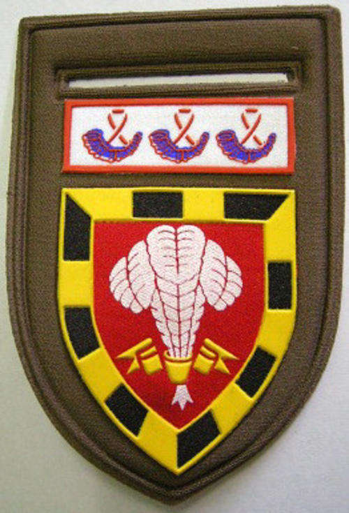 1 SAI Rubberised Shoulder Flash Pin Intact