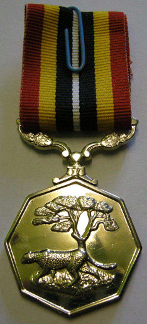 Full Size Southern Africa Medal Double Face Suspender Tall Grass Poor Detail Number Engraved on Rim