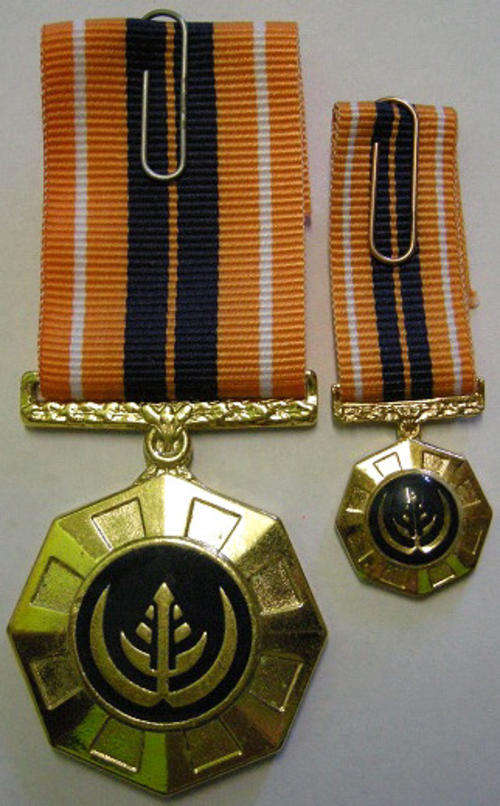 Full Size Pro Patria Medal Flush Epoxy Numbered at Back & Miniature Pro Patria Medal Raised Epoxy