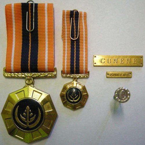 Full Size Pro Patria Medal Nr Back w/ Cunene Bar & Button Flush Epoxy & Miniature Raised Epoxy & Bar