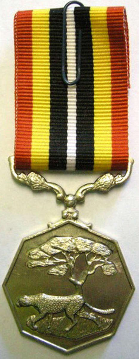 Full Size Southern Africa Medal Uniface Susp Tall Grass Crisp Detail Nr @ Back In Box