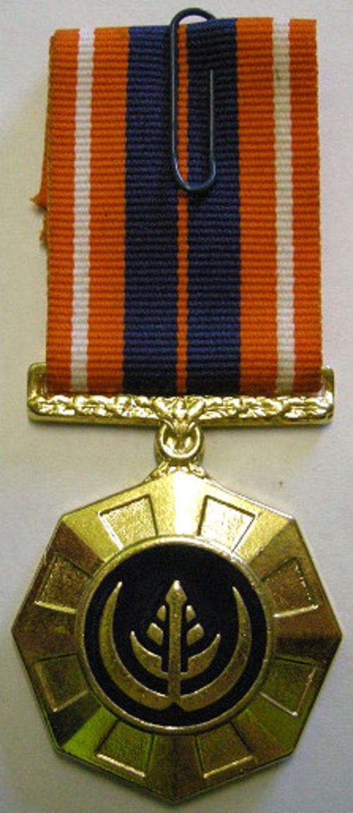 Full Size Pro Patria Medal Numbered at Back Flush Epoxy