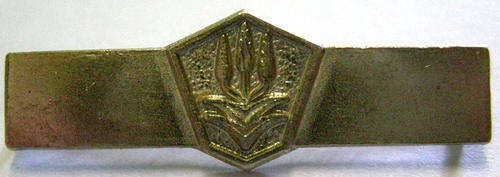 Full Size Bar South African Police Medal for Combating Terrorism 1974