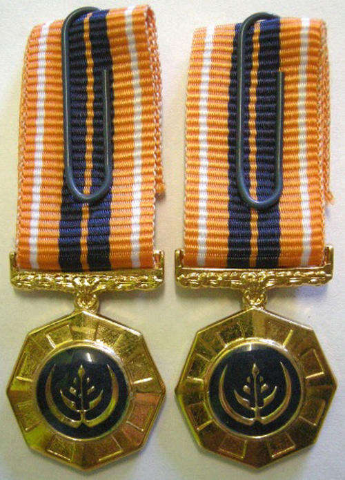 Miniature Pro Patria Medal Raised Epoxy x 2 Variations SEE DESCRIPTION