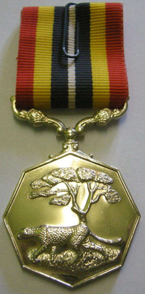 Full Size Southern Africa Medal Uniface Susp Short Grass Crisp Detail Mirror Finish Nr @ Back In Box