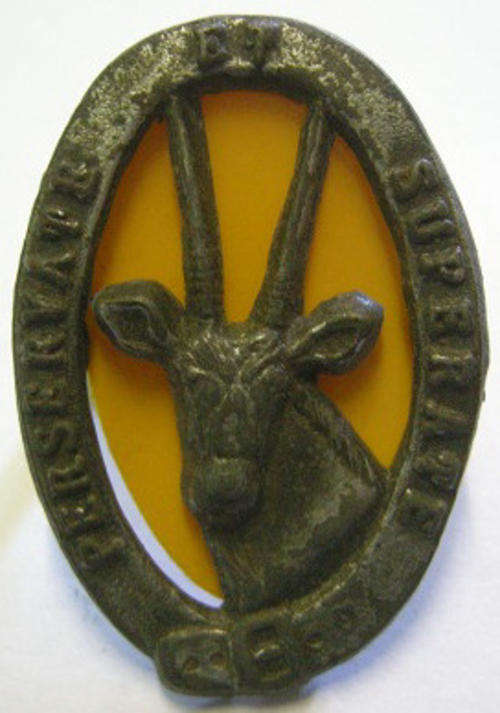 8 SAI Beret Badge w/ Yellow Plastic Backing