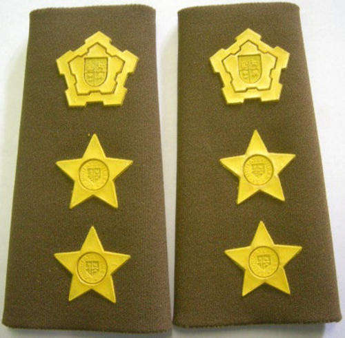 Colonel Rank Insignia Rubberised Pair