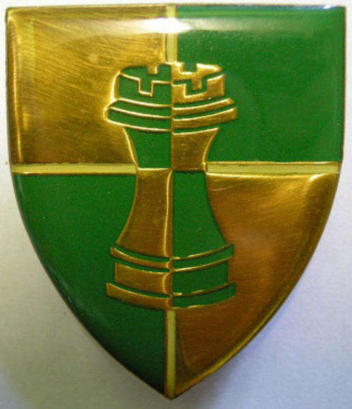 Group 8 HQ Shoulder Flash Pins Intact Dinnes 5079