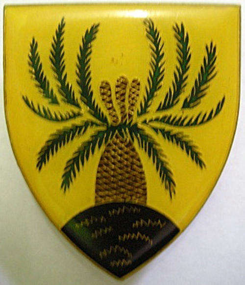 4 SA Infantry Battalion Shoulder Flash Pins Intact