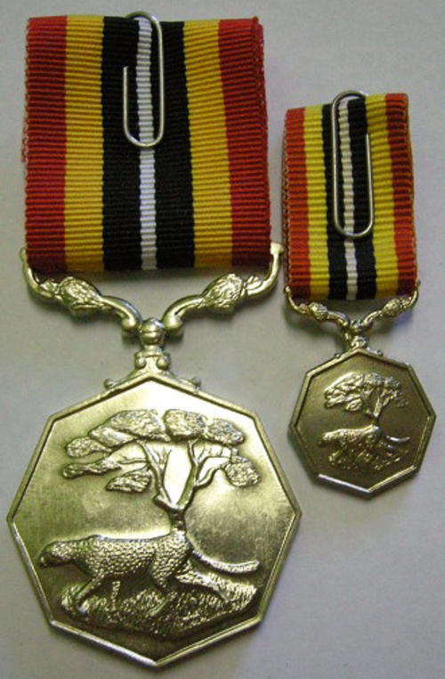 Full Size Southern Africa Medal Uniface Susp Short Grass Crisp Detail Matte Nr w/ Miniature