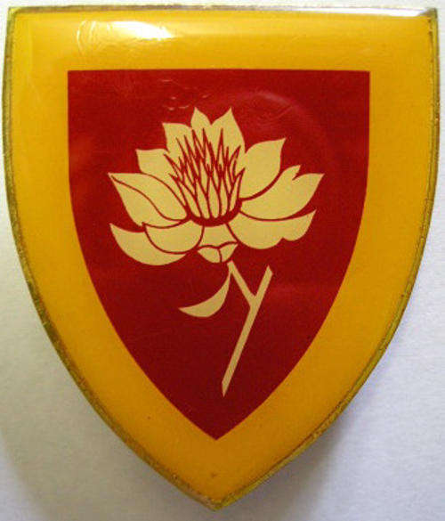 SA Army Women's College Shoulder Flash Yellow Type 1st Issue Pins Intact