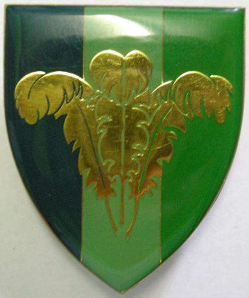 Southern Cape Signal Unit Shoulder Flash Pins Intact