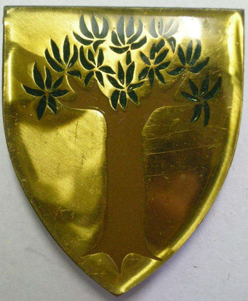 Kakamas Commando Shoulder Flash Pins Intact