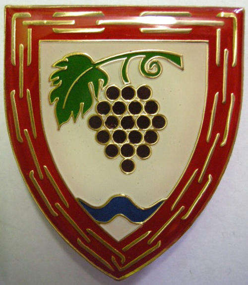 SANDF 15 General Support Base Youngsfield Shoulder Flash Pins Intact