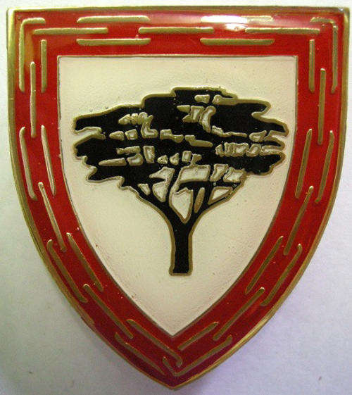SANDF 9 General Support Base Lohatlha Shoulder Flash Pins Intact