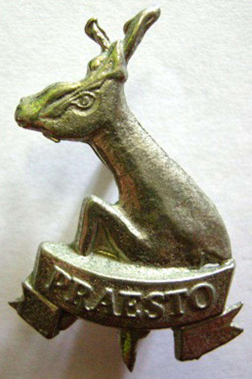 115 Battalion Chromed Cap Badge Dinnes 96