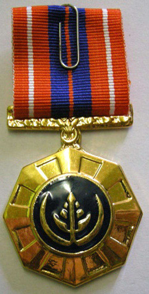 Full Size Pro Patria Medal Numbered at Back Flush Epoxy