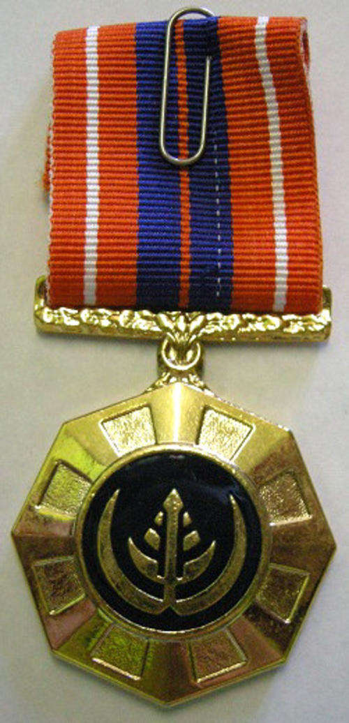 Full Size Pro Patria Medal Numbered at Back Flush Epoxy
