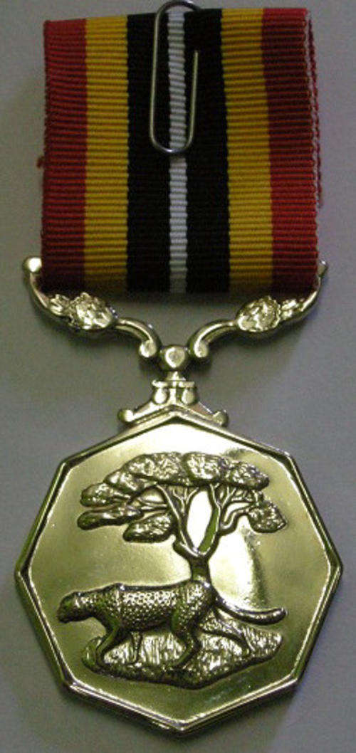 Full Size Southern Africa Medal Double Face Suspender Tall Grass Poor Detail Nr Engraved on Rim