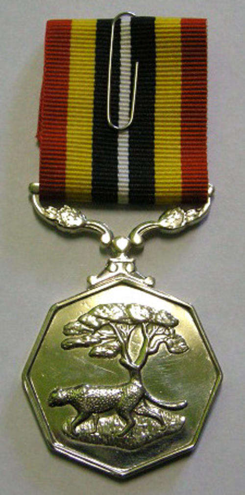 Full Size Southern Africa Medal Double Face Suspender Tall Grass Poor Detail Nr Engraved on Rim