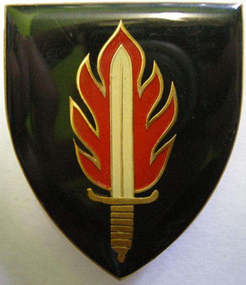 Intelligence School / 11 Commando Shoulder Flash Pins Intact Owen F804