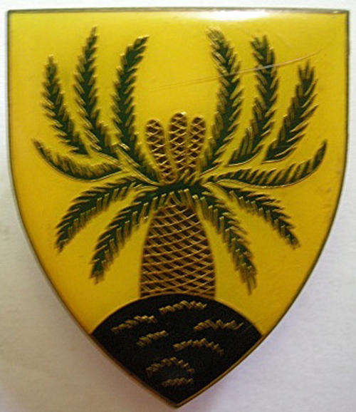 4 SAI Shoulder Flash Pins Intact