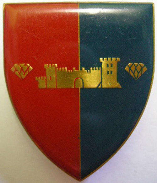 SWA Command Workshop Shoulder Flash Pins Intact Dinnes 5200