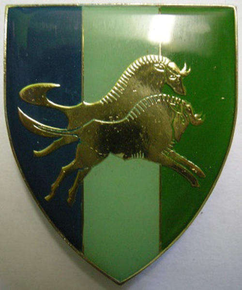 Natal Signal Unit Shoulder Flash Blue on Left - Error Type Pins Intact Owen F733