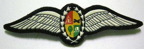SAAF Pilot`s Wing Rubberised Two Pins