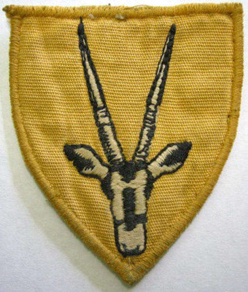 8 SA Infantry Shoulder Flash Embroidered on Material 49mm x 57mm Dirty
