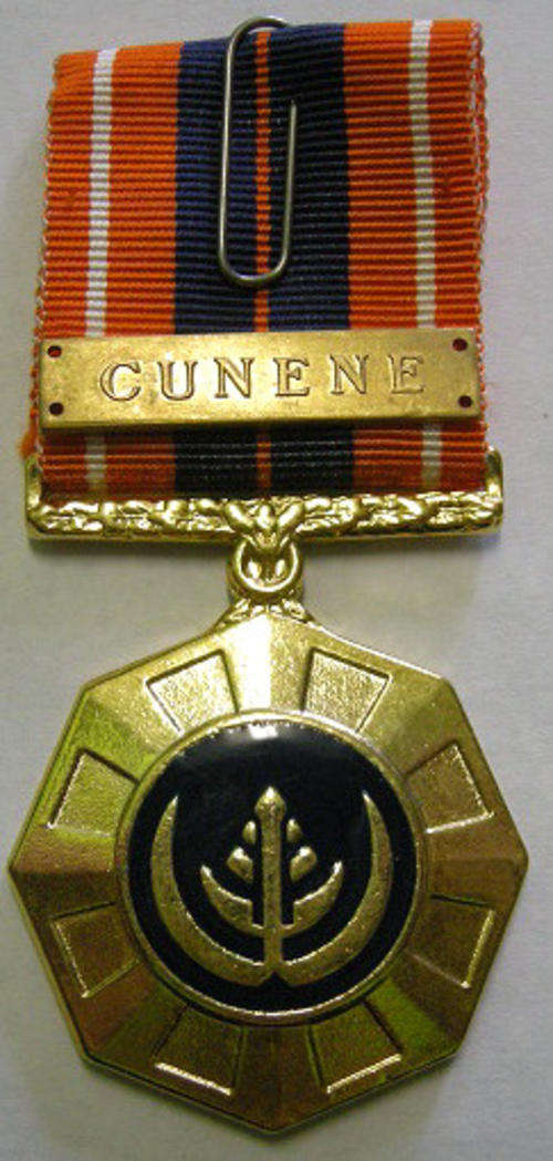 Full Size Pro Patria Medal Numbered at Back Flush Epoxy w/ Cunene Bar