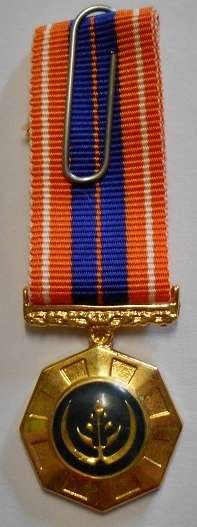 Miniature Pro Patria Medal Raised Epoxy