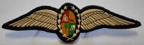 SAAF Pilot Wing Rubberised Pins Intact 94mm x 28mm