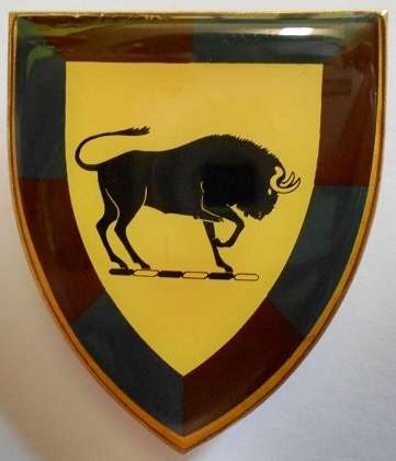 SA Army College Shoulder Flash Pins Intact Dinnes 4466