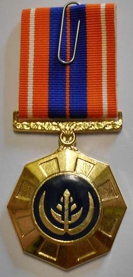 Full Size Pro Patria Medal Numbered at Back Flush Epoxy