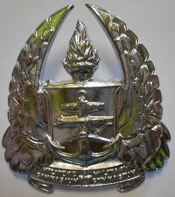 Army Gymnasium Cap Badge Same as Dinnes 730 But Chromed