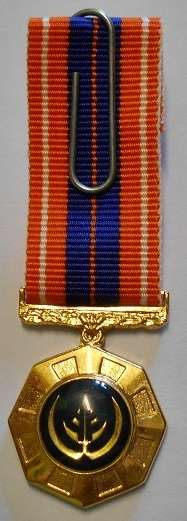 Miniature Pro Patria Medal Raised Epoxy