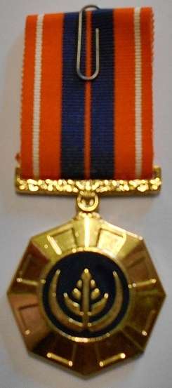 Full Size Pro Patria Medal Numbered at Back Flush Epoxy