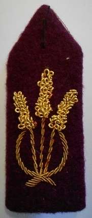 Bophuthatswana Police Gorget Patch Single Bullion Wire on Felt