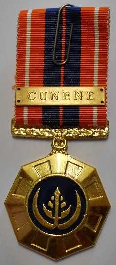 Full Size Pro Patria Medal Numbered at Back Flush Epoxy In Original Box w/ Cunene Bar