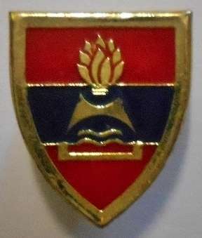 2 Field Engineer Regiment Small Pin / Flash One Pin Type 17mm x 20mm