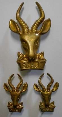 SA Infantry Corps Cap Badge Large Springbok Head & Collar Badges