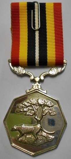 Full Size Southern Africa Medal Double Face Suspender Tall Grass Poor Detail Nr Engraved on Rim