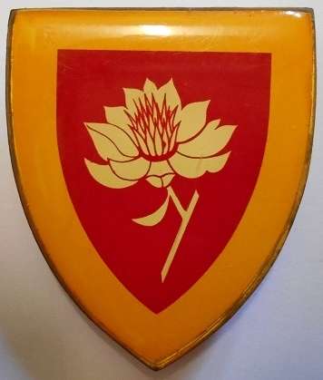 SA Army Women's College Shoulder Flash Pins Intact Dinnes 4473