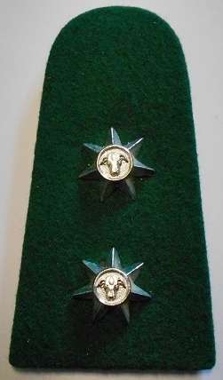 Ciskei Police Lieutenant Rank Insignia Single Note Moth Damage